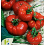 Seminte tomate Marmande PPZ 10 GR